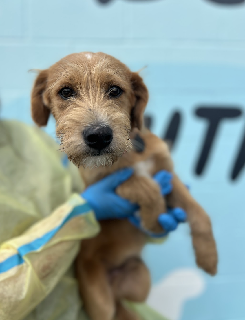 Screenshot 2026-04-14 at 3.00.02 PM.png