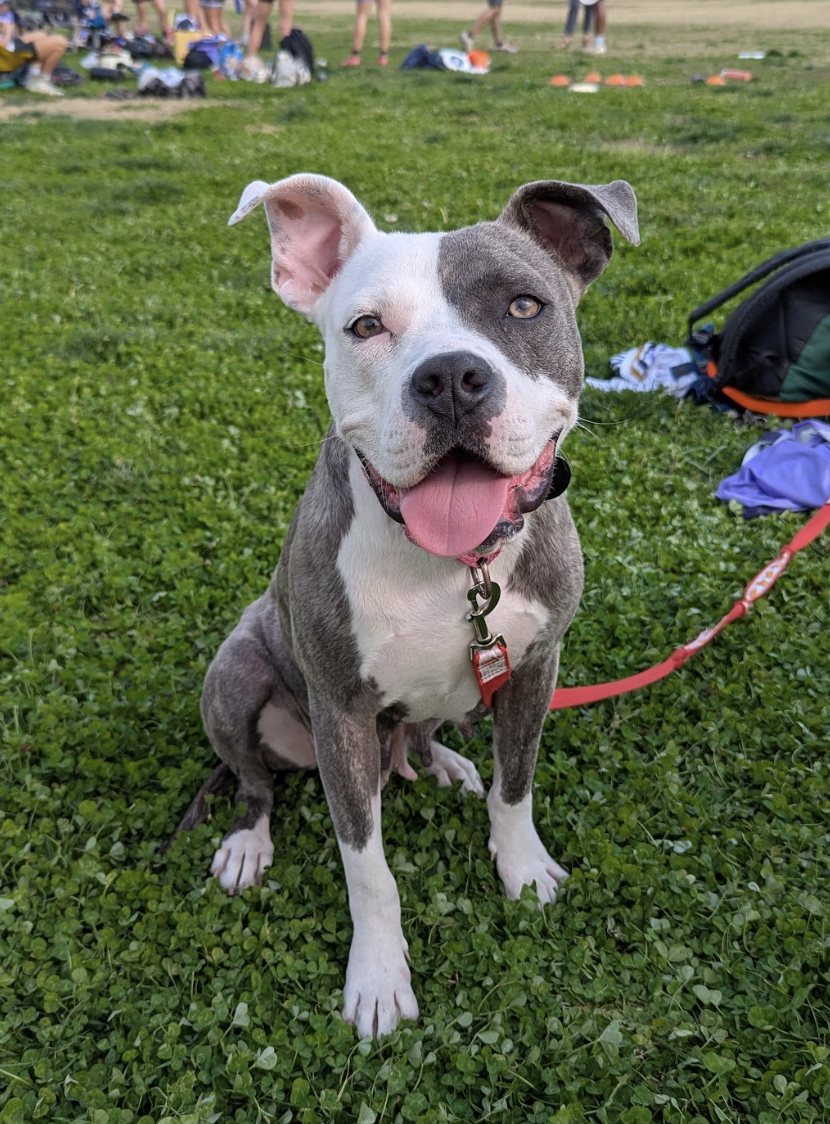 Screenshot 2026-03-27 at 4.47.24 PM.png