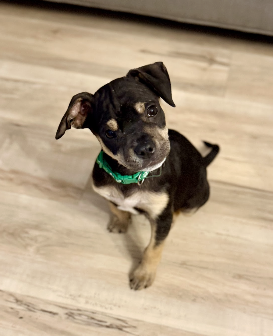 Screenshot 2026-04-23 at 2.14.19 PM.png