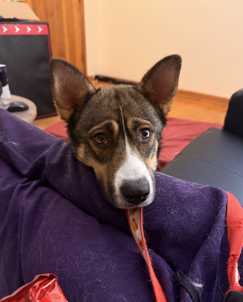 Screenshot 2026-04-22 at 5.29.25 PM.png