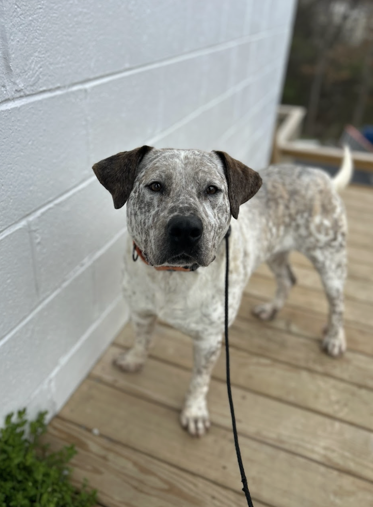 Screenshot 2026-03-10 at 9.23.54 PM.png