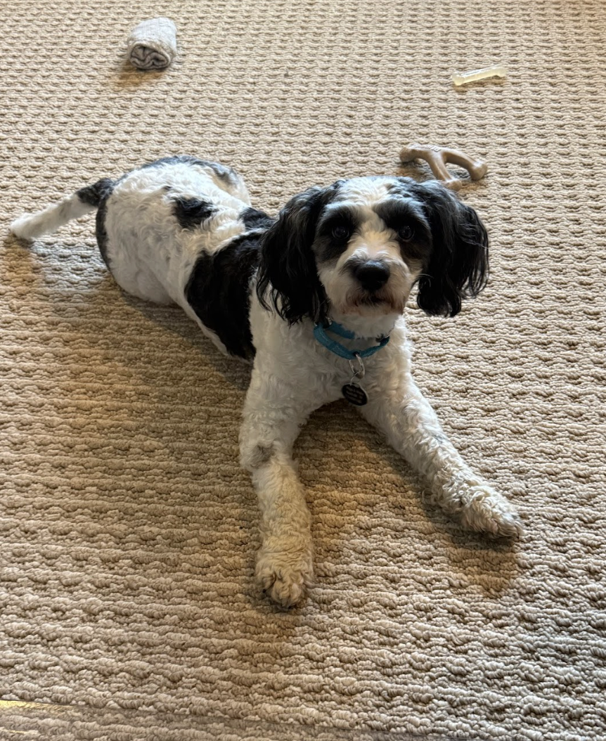 Screenshot 2026-04-22 at 6.04.47 PM.png