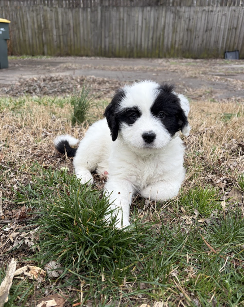 Screenshot 2026-03-10 at 9.00.14 PM.png