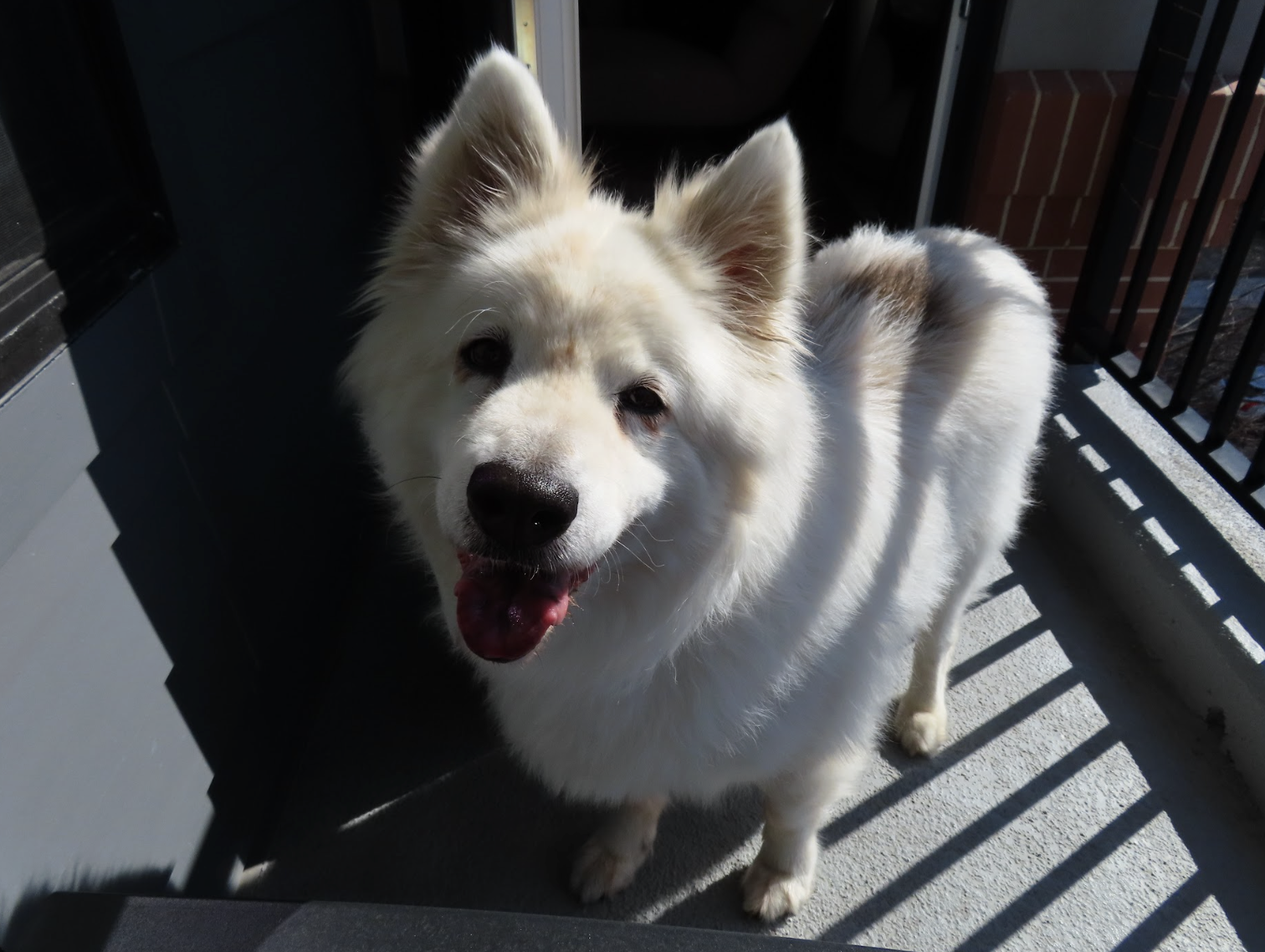 Screenshot 2026-03-24 at 12.28.53 PM.png