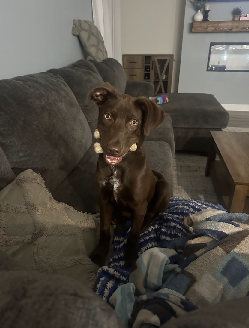 Screenshot 2026-04-23 at 7.54.02 PM.png