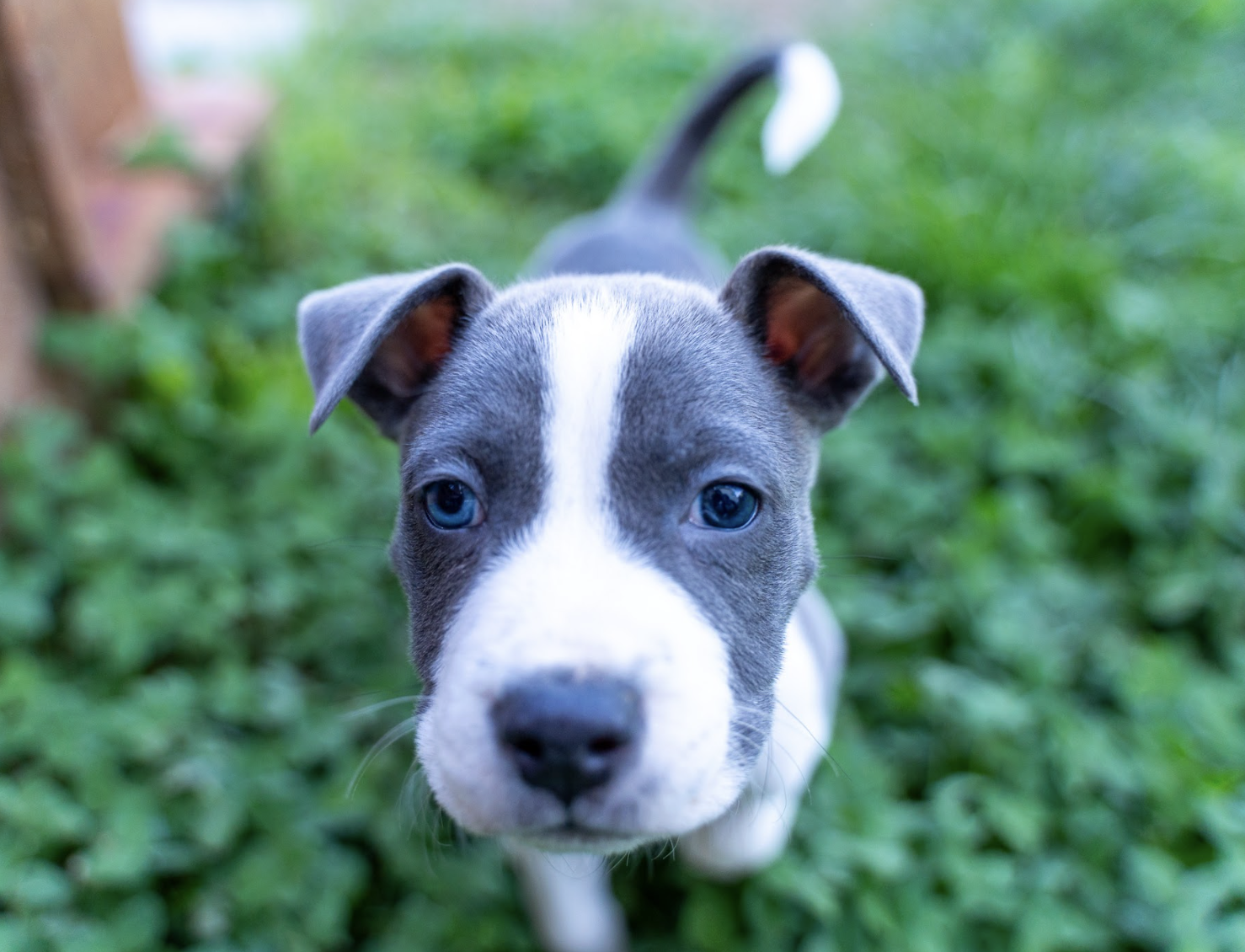 Screenshot 2026-04-23 at 2.17.20 PM.png