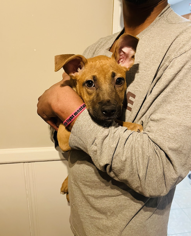 Screenshot 2026-04-03 at 1.57.36 PM.png