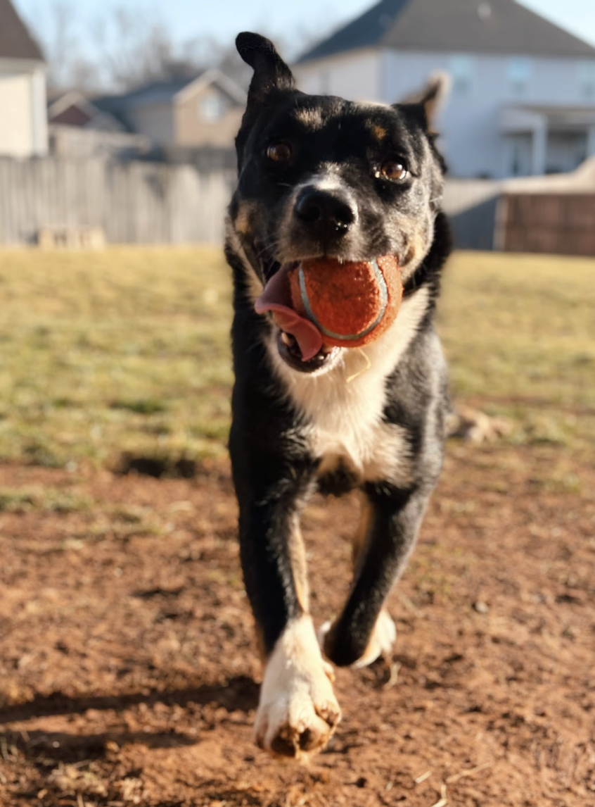 Screenshot 2026-04-03 at 3.04.36 PM.png