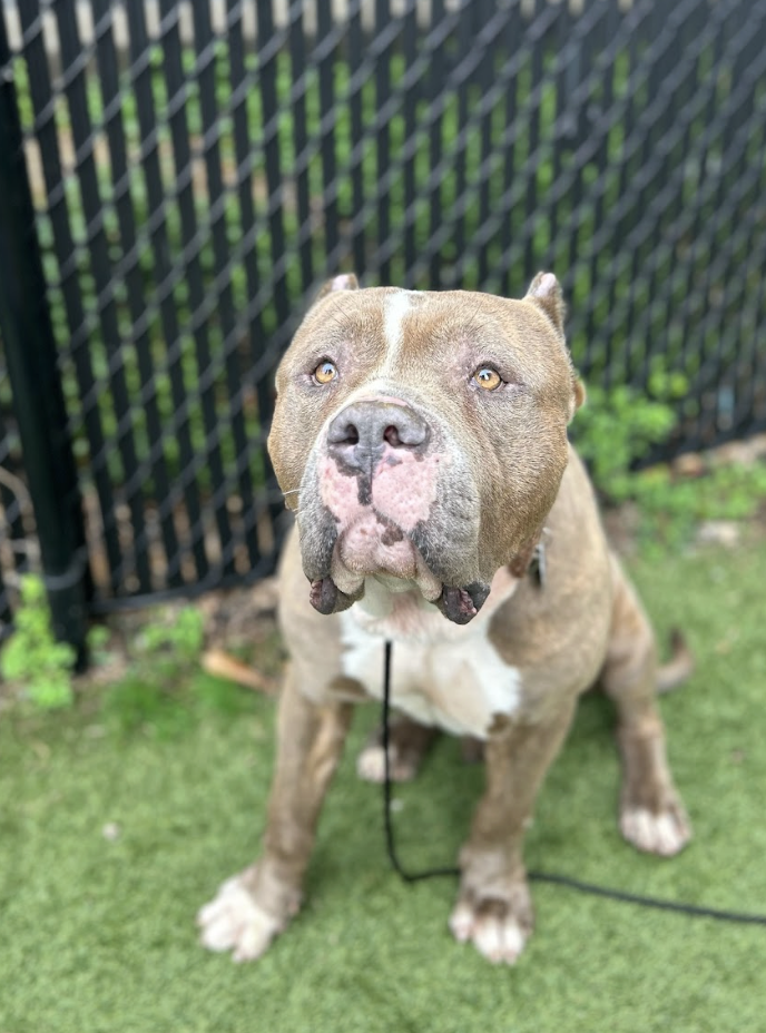 Screenshot 2026-03-11 at 6.46.39 PM.png