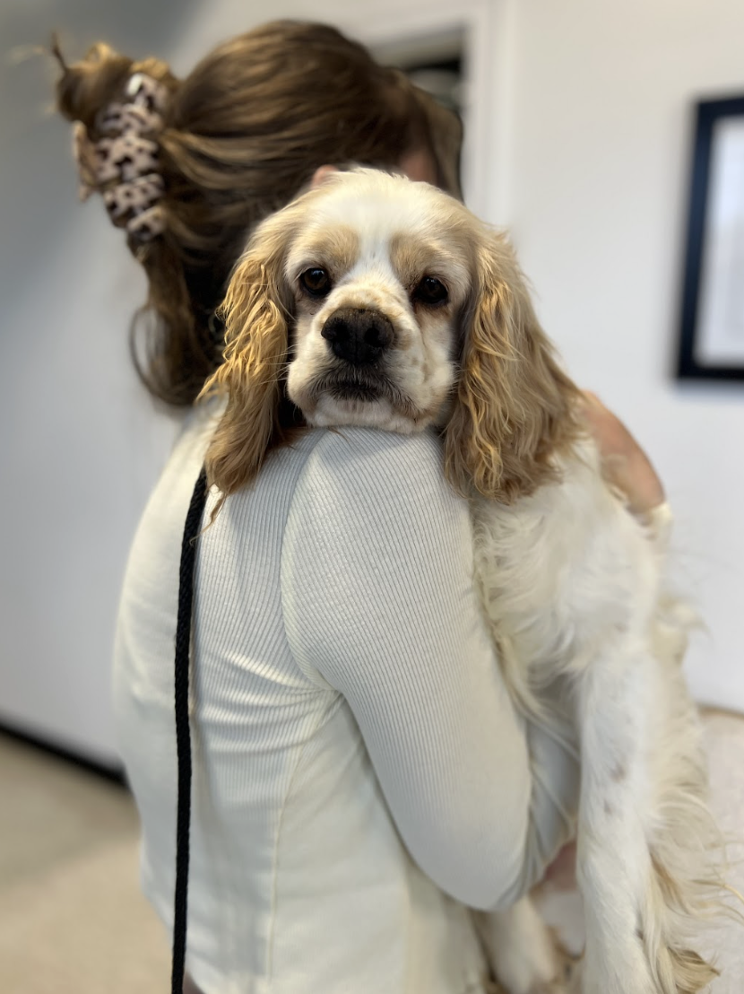 Screenshot 2026-03-21 at 2.22.18 PM.png