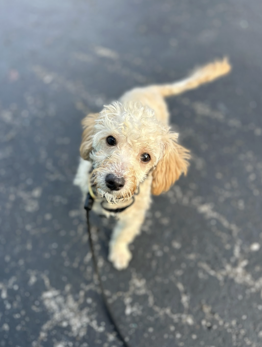 Screenshot 2026-01-14 at 1.44.32 PM.png