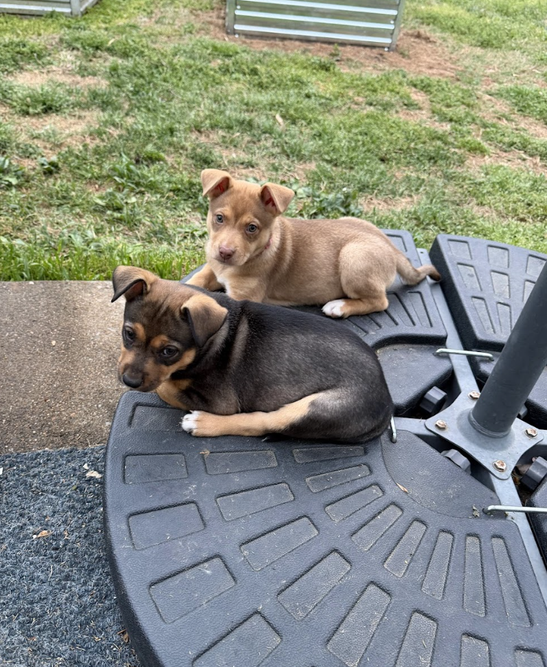 Screenshot 2026-04-07 at 5.08.19 PM.png