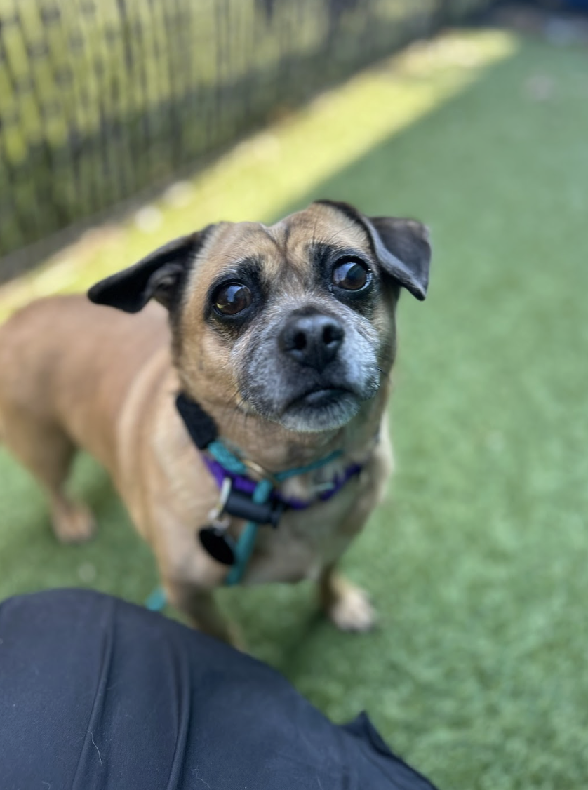 Screenshot 2026-03-20 at 2.32.09 PM.png