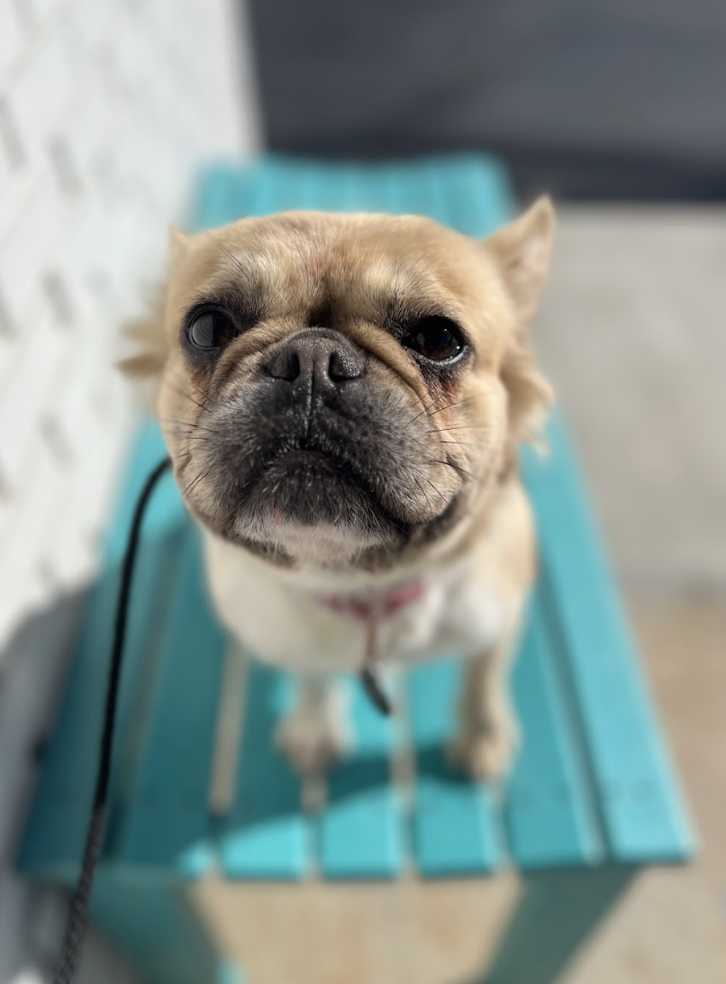 Screenshot 2026-01-15 at 2.33.37 PM.png