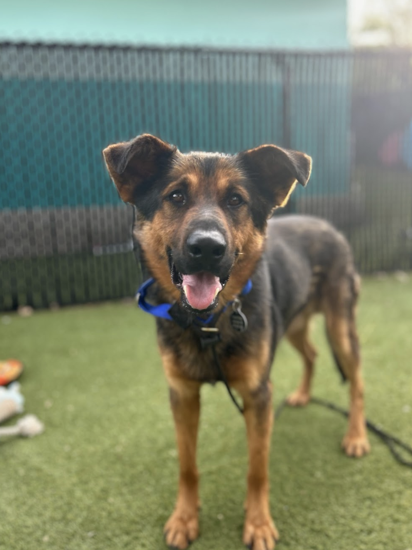 Screenshot 2026-03-26 at 2.23.55 PM.png