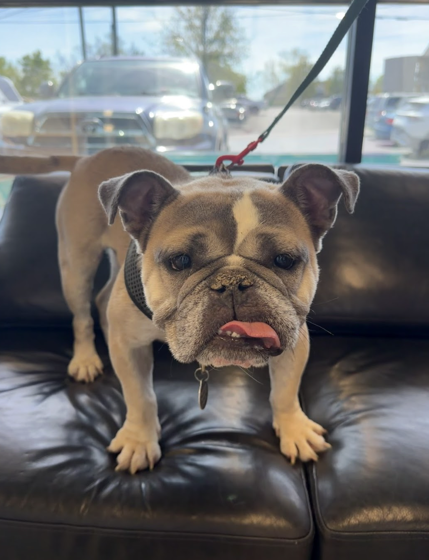 Screenshot 2026-04-22 at 2.36.40 PM.png