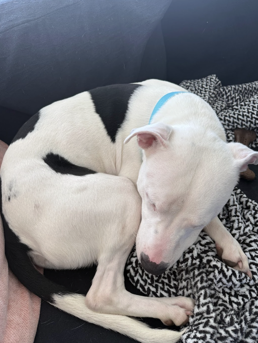 Screenshot 2026-01-14 at 12.28.45 PM.png