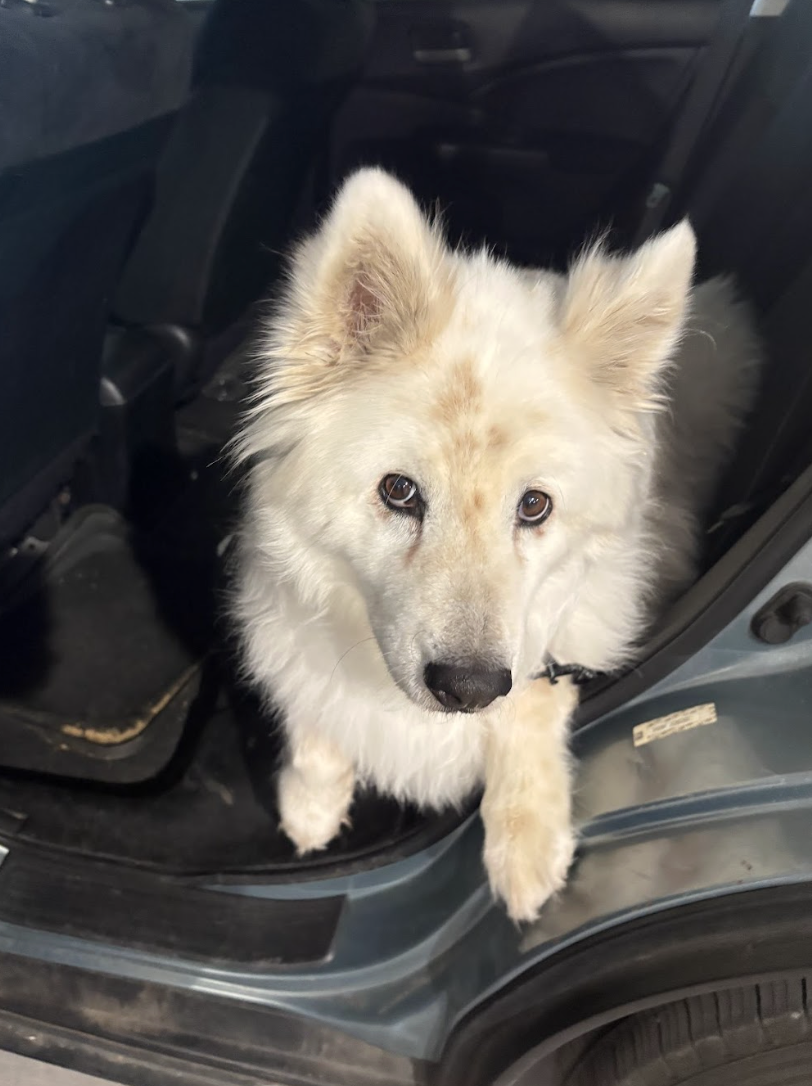 Screenshot 2026-03-24 at 12.30.10 PM.png