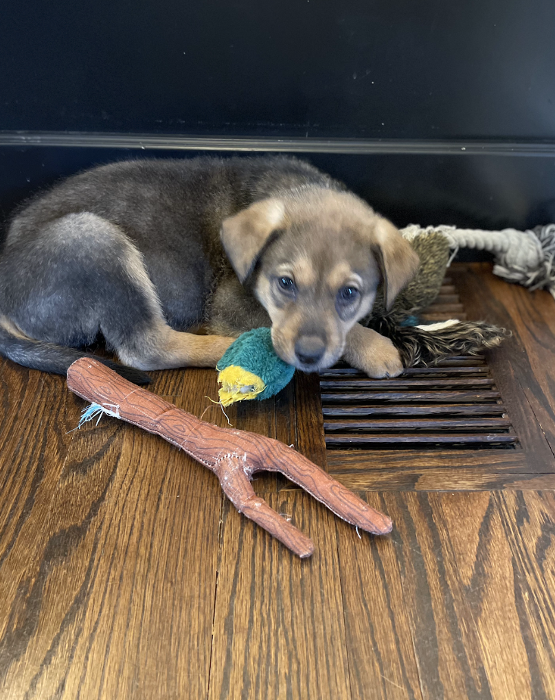 Screenshot 2026-03-05 at 6.11.13 PM.png