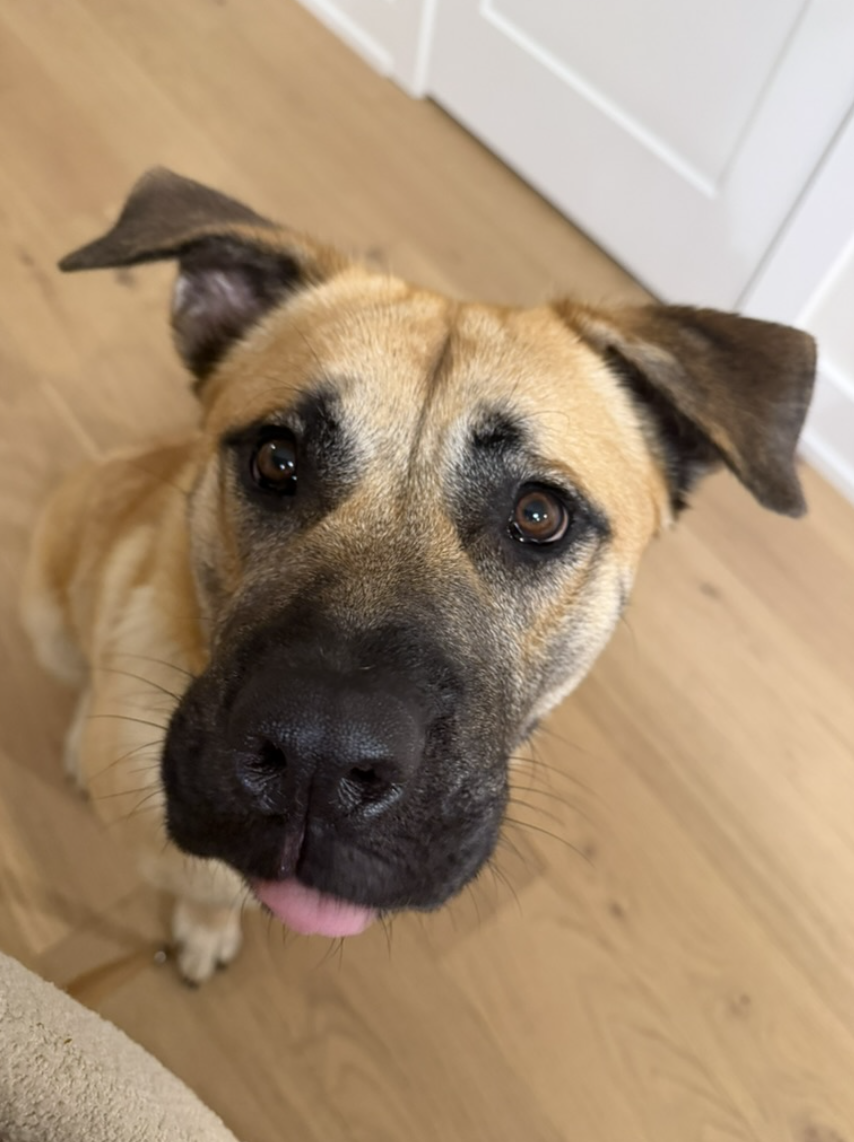 Screenshot 2026-04-22 at 3.12.46 PM.png