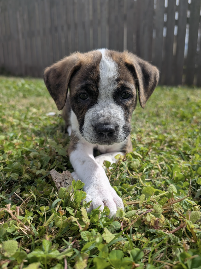 Screenshot 2026-03-27 at 7.57.02 PM.png