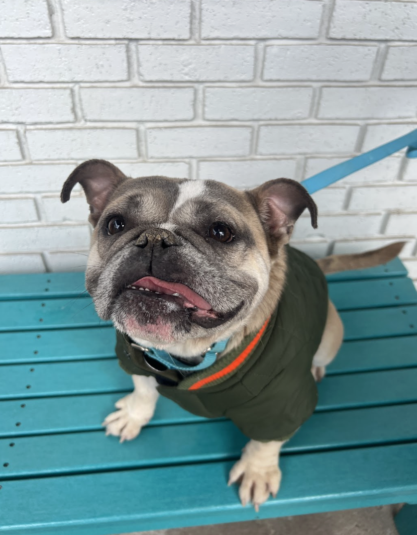 Screenshot 2026-02-26 at 2.15.42 PM.png