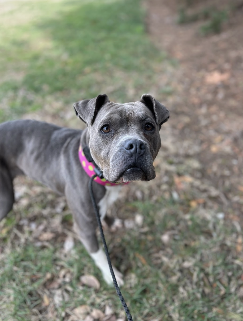 Screenshot 2026-02-25 at 12.59.13 PM.png