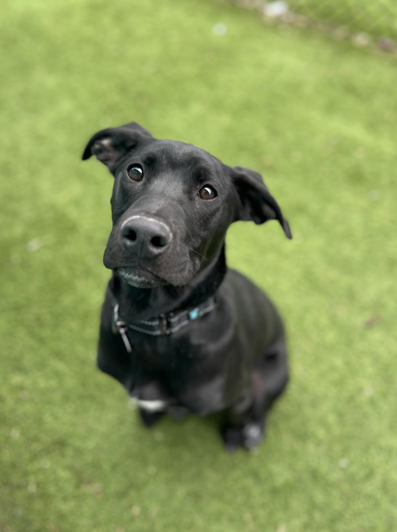 Screenshot 2026-02-05 at 6.02.28 PM.png