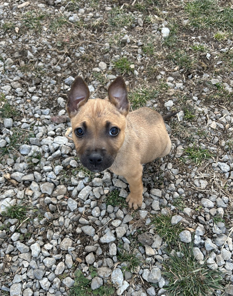 Screenshot 2026-02-17 at 4.02.02 PM.png