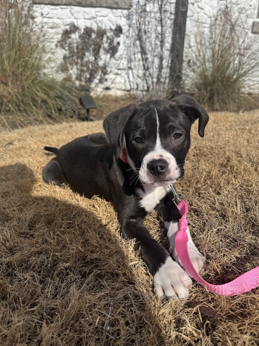 Screenshot 2026-01-14 at 6.21.52 PM.png