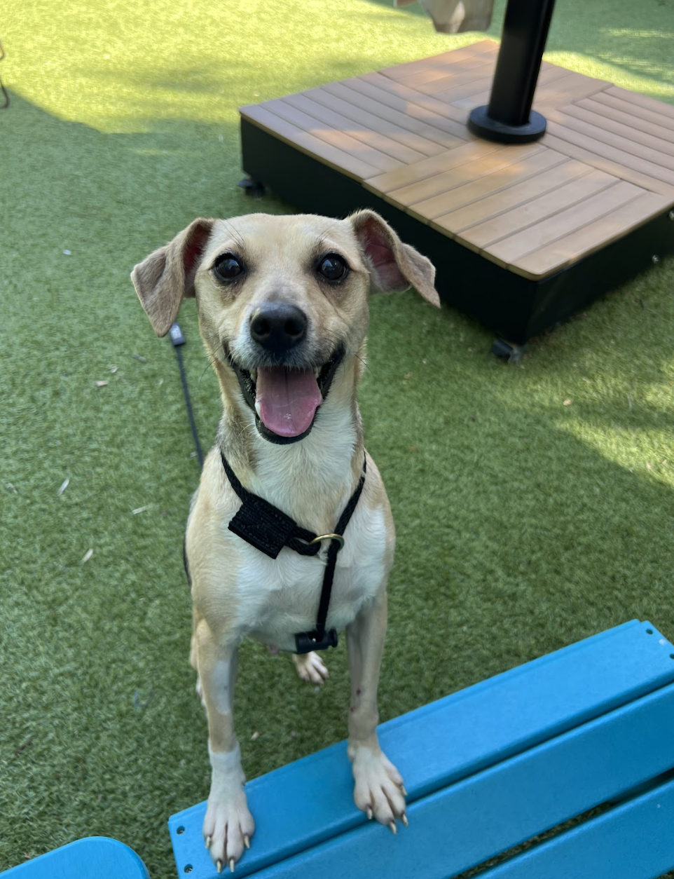 Screenshot 2026-04-23 at 2.33.57 PM.png