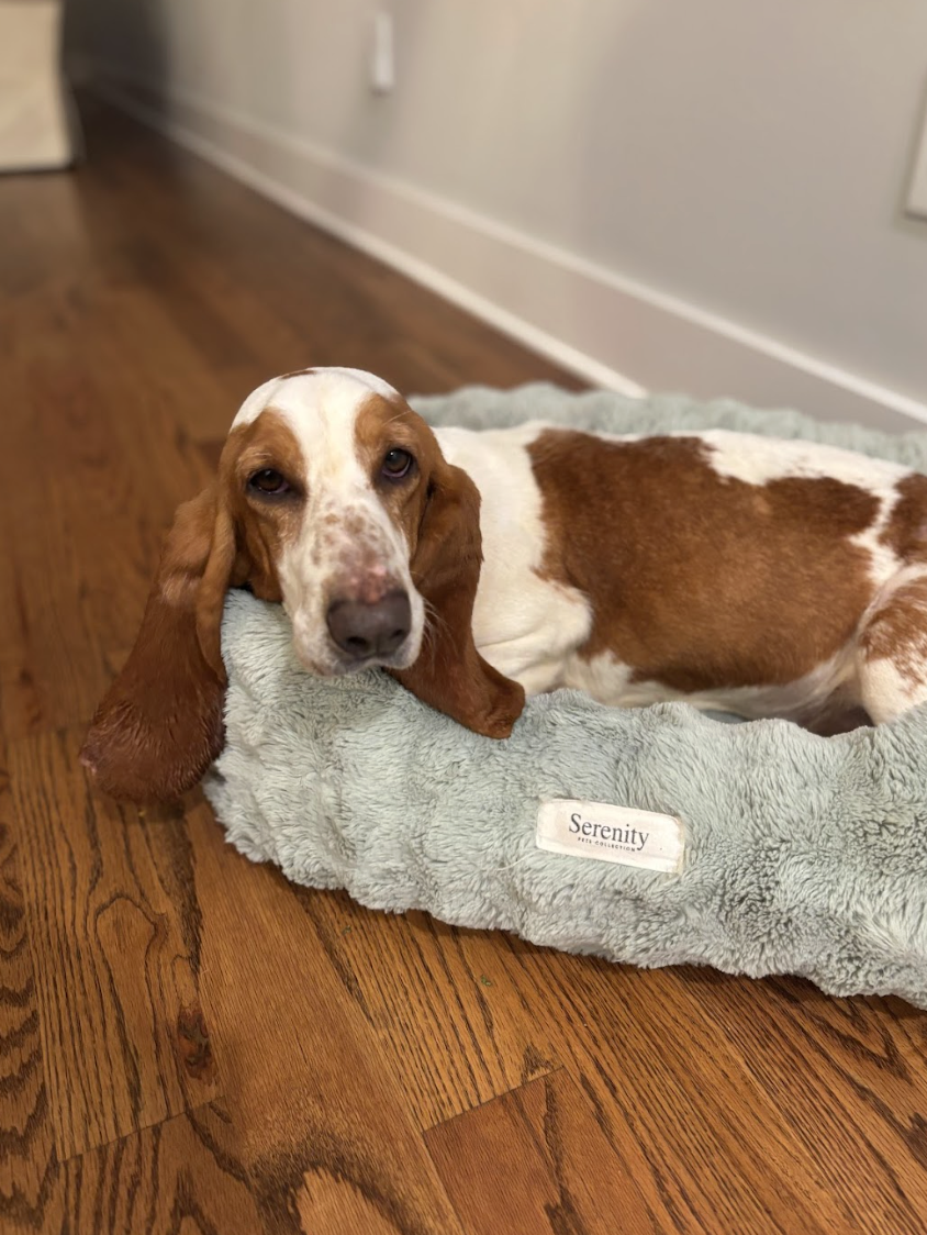 Screenshot 2026-04-13 at 3.22.27 PM.png