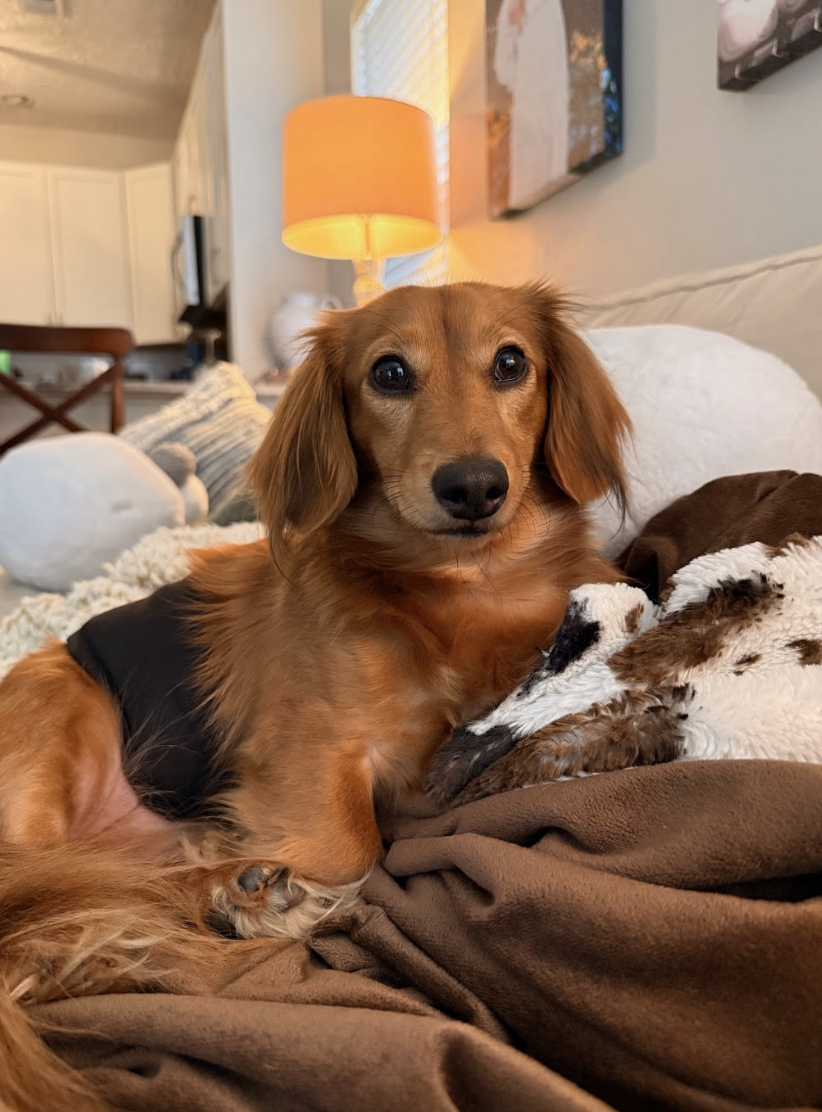 Screenshot 2026-01-20 at 4.59.17 PM.png