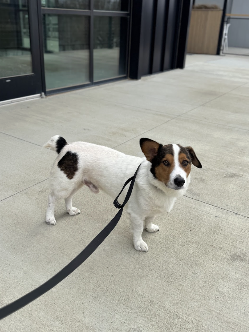 Screenshot 2026-01-06 at 1.28.16 PM.png