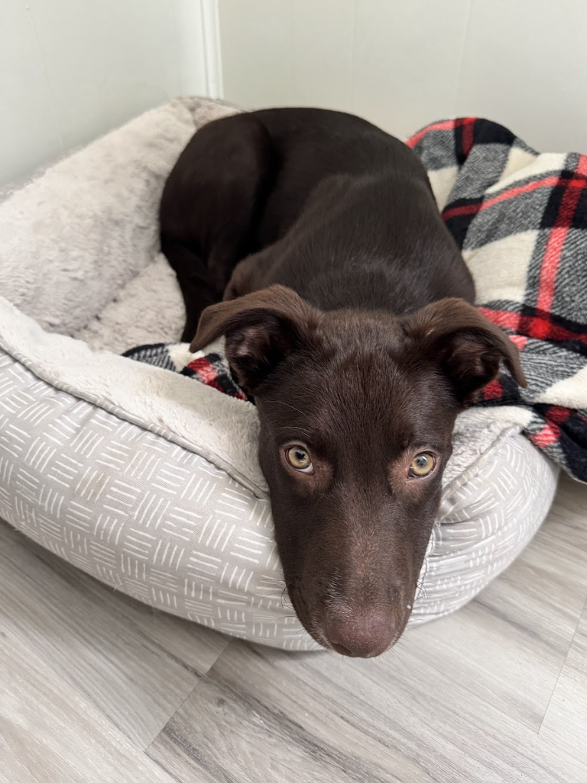 Screenshot 2026-04-23 at 7.50.19 PM.png