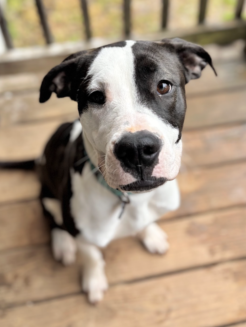 Screenshot 2026-04-21 at 5.31.51 PM.png