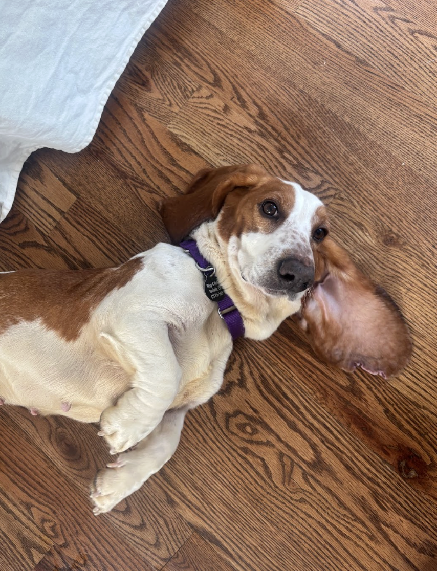 Screenshot 2026-04-13 at 3.22.22 PM.png