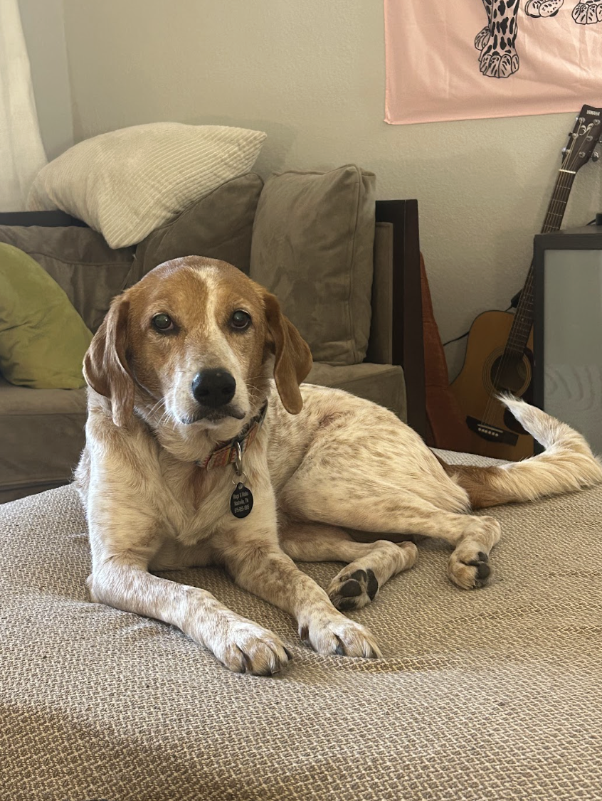 Screenshot 2026-03-11 at 8.36.10 PM.png