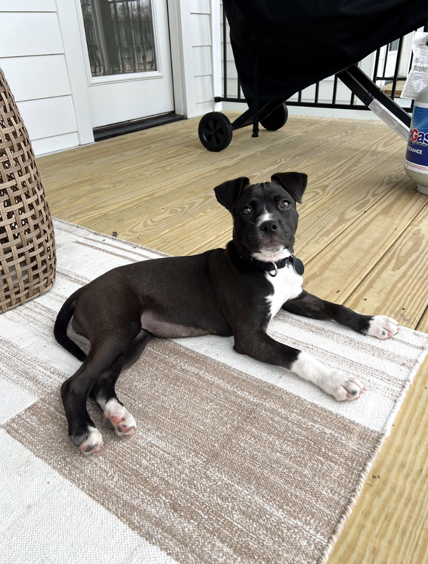 Screenshot 2026-04-03 at 1.22.23 PM.png