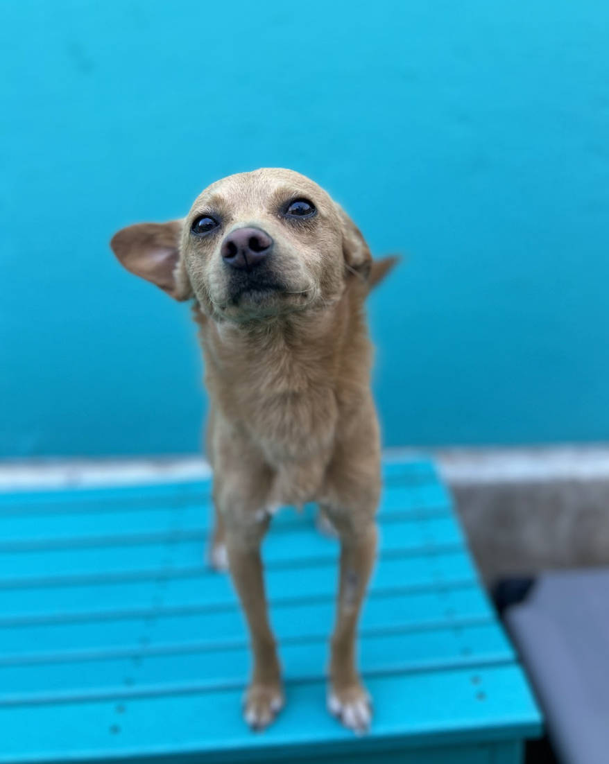 Screenshot 2026-02-27 at 4.44.12 PM.png