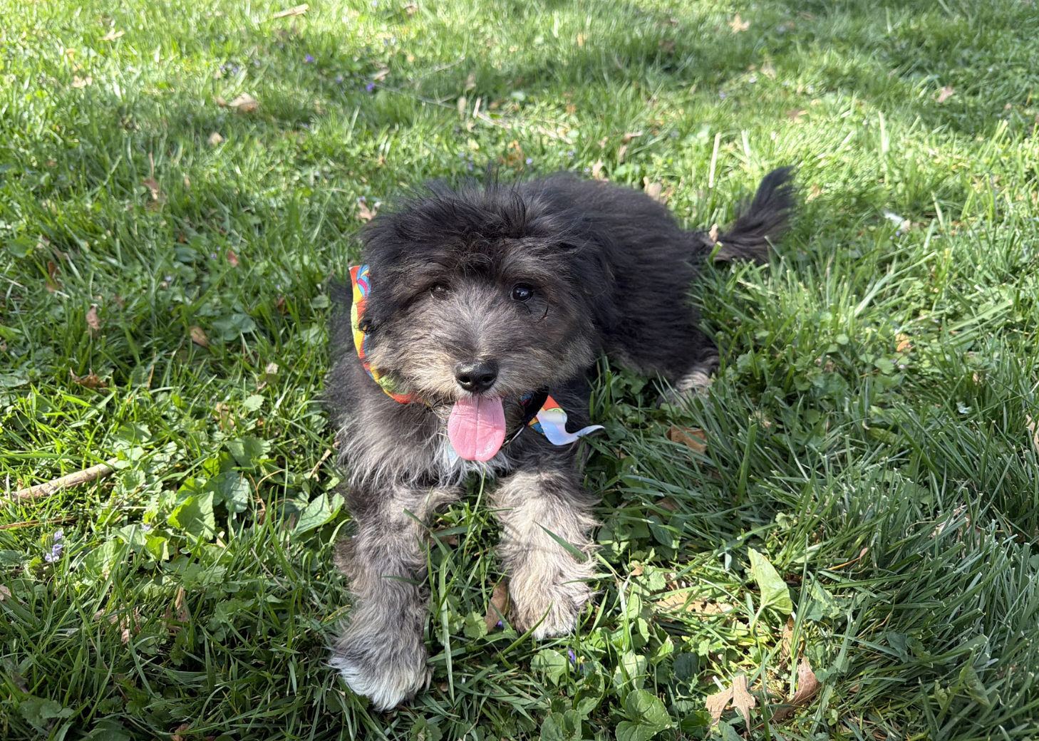 Screenshot 2026-04-06 at 1.11.36 PM.png