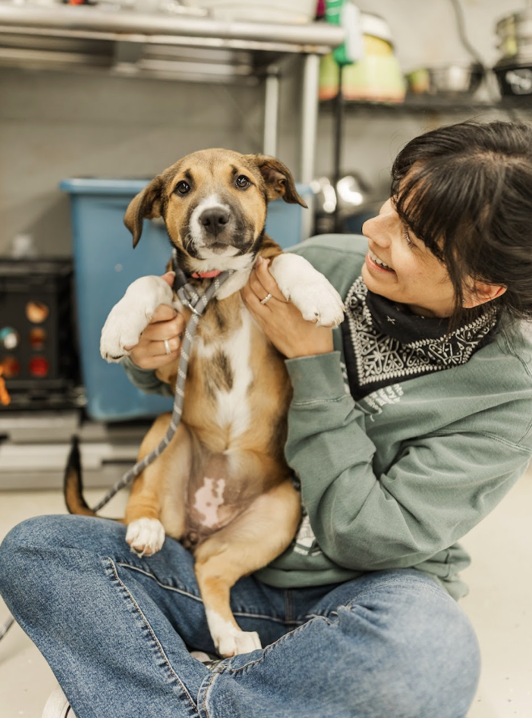 Screenshot 2026-03-20 at 2.33.40 PM.png