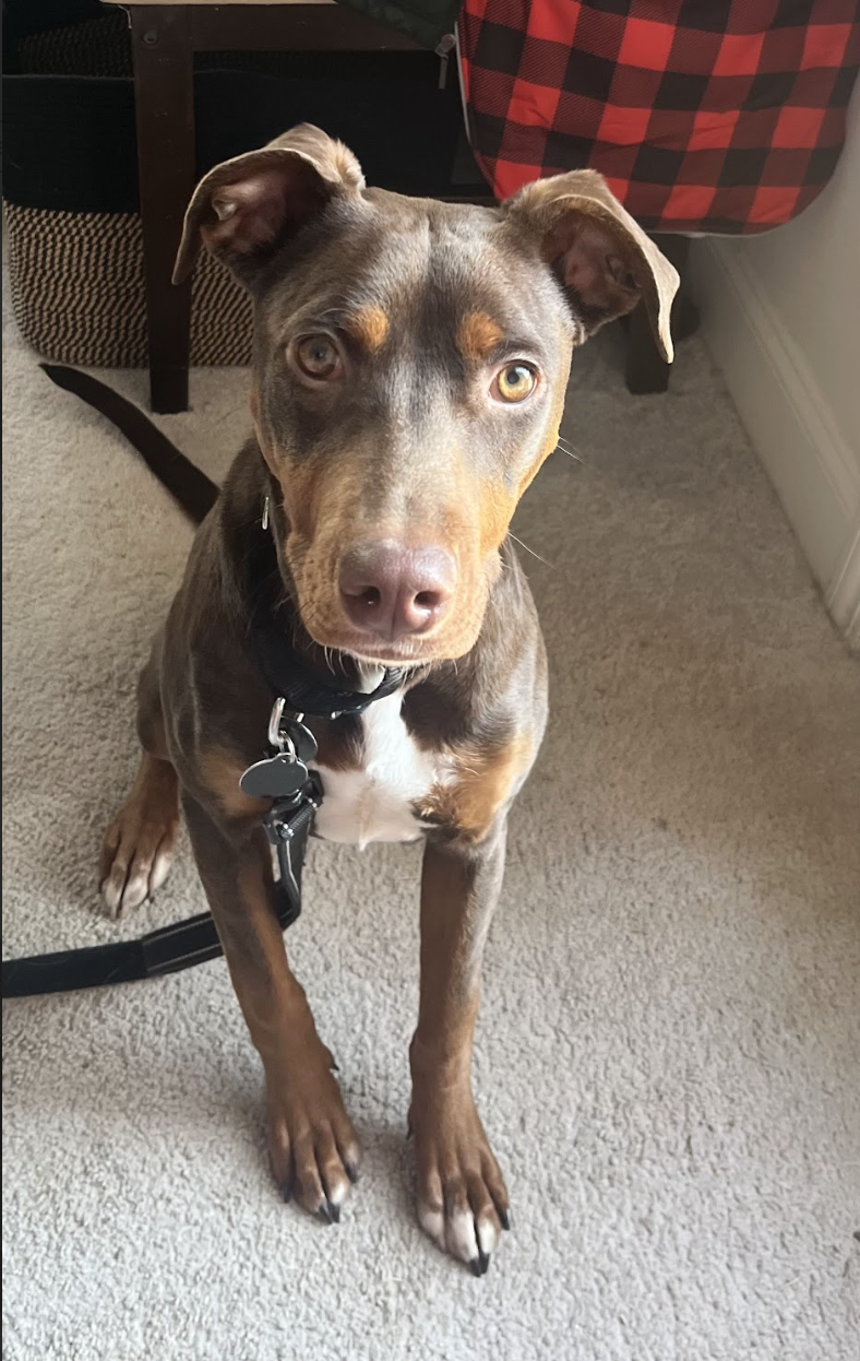 Screenshot 2026-02-07 at 8.09.11 AM.png