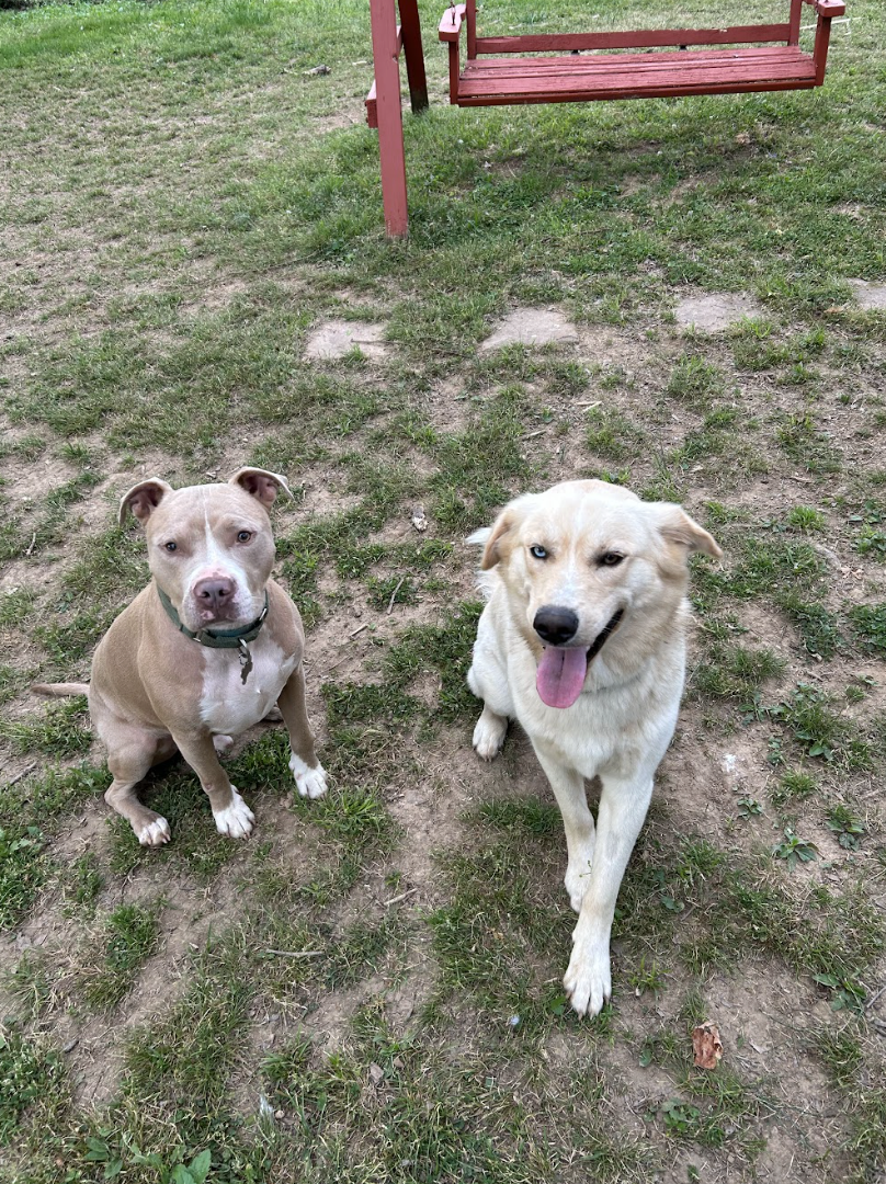 Screenshot 2026-04-22 at 5.22.45 PM.png