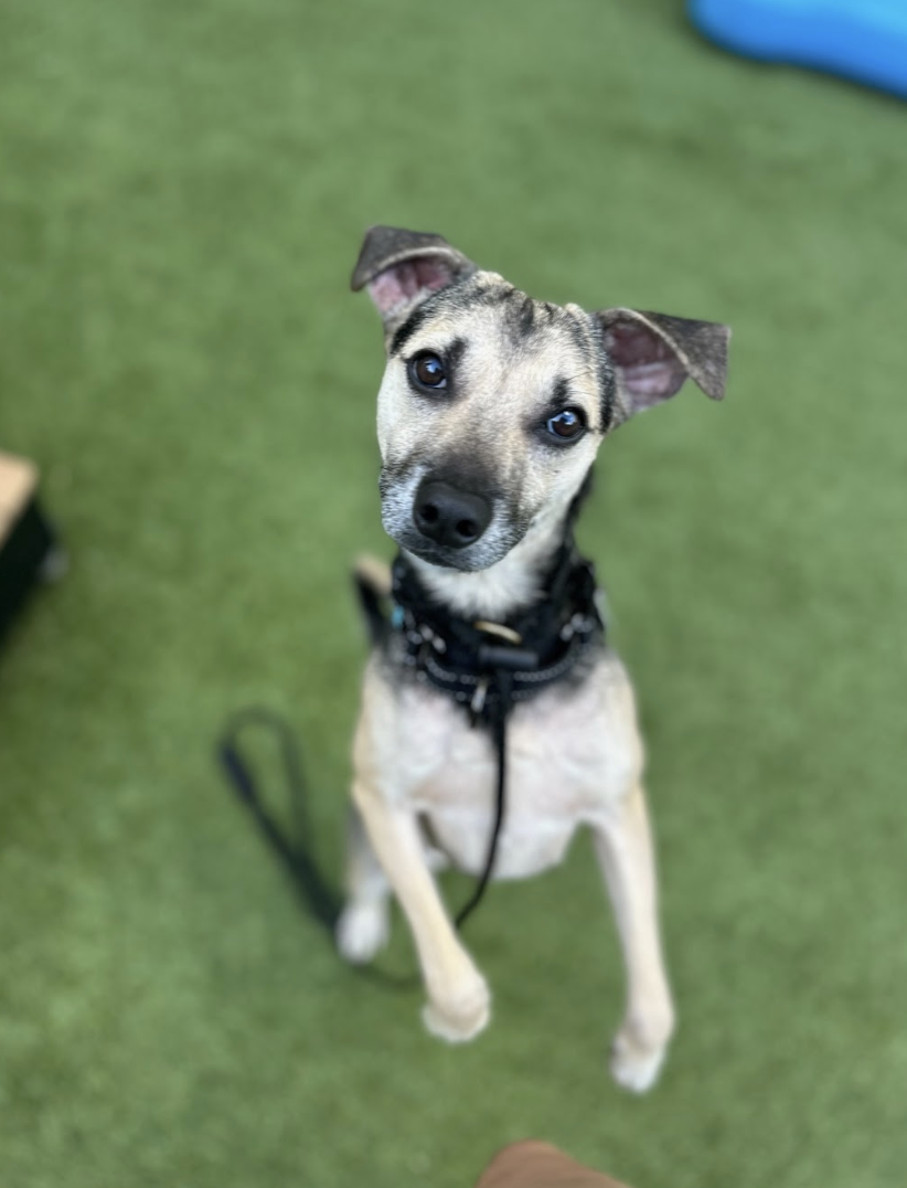 Screenshot 2026-04-16 at 7.17.03 PM.png