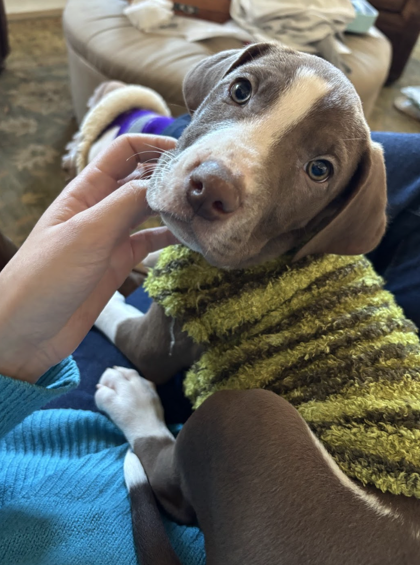 Screenshot 2026-01-07 at 1.19.37 PM.png