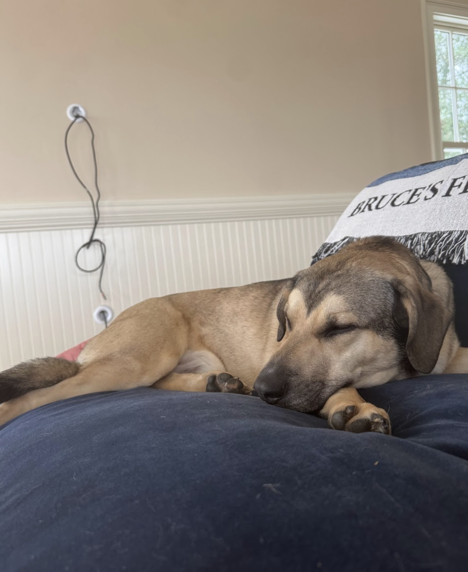 Screenshot 2026-02-07 at 7.57.54 AM.png