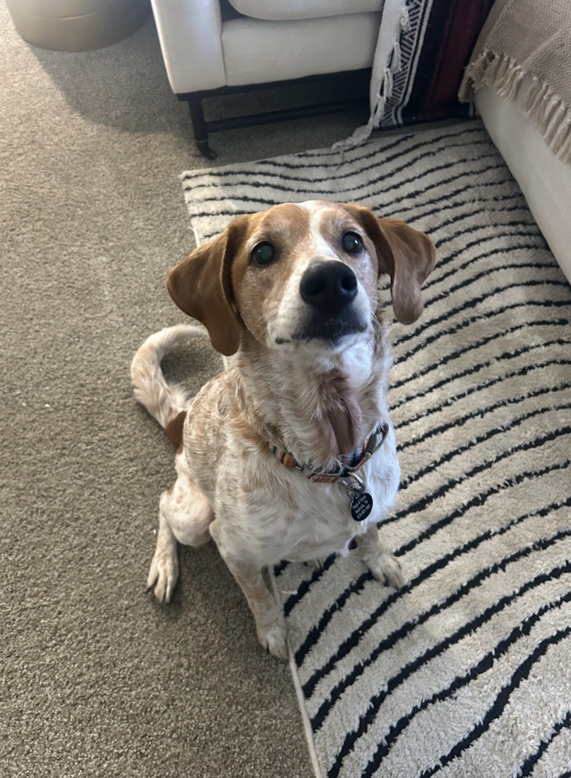 Screenshot 2026-03-11 at 8.36.17 PM.png