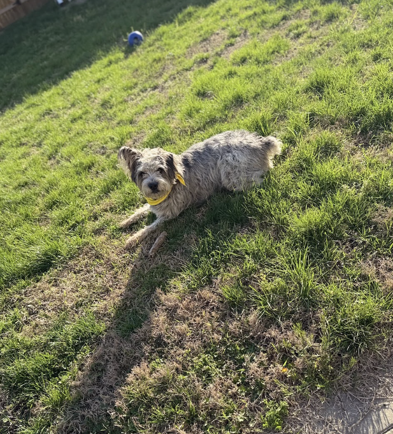 Screenshot 2026-04-08 at 12.40.52 PM.png