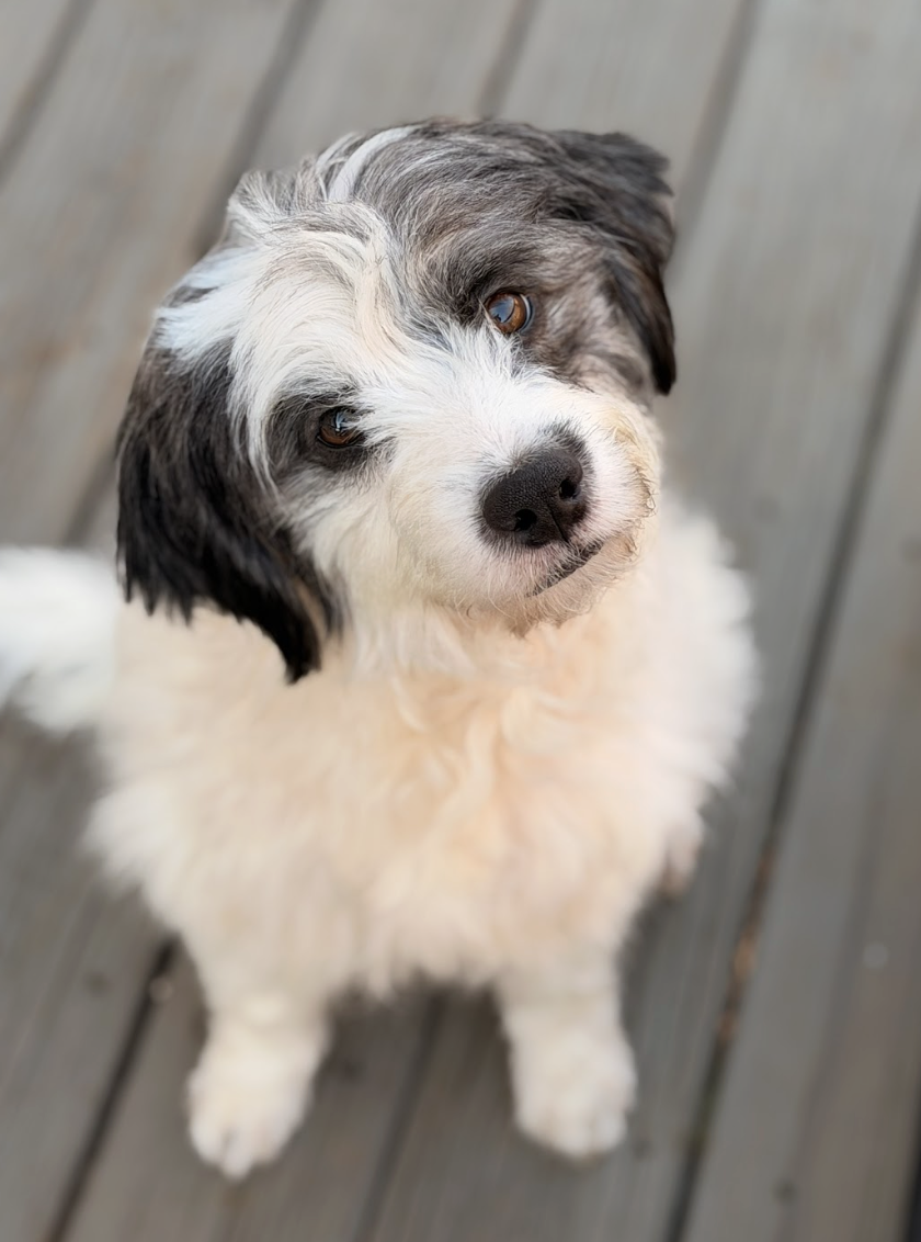 Screenshot 2026-02-28 at 4.16.32 PM.png